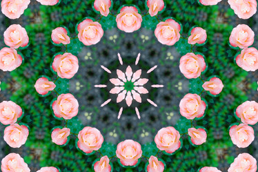 Similar image 1420759