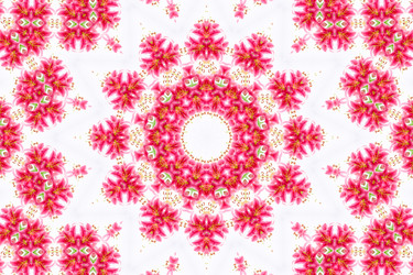 Similar image 1420761