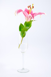 Similar image 1420767