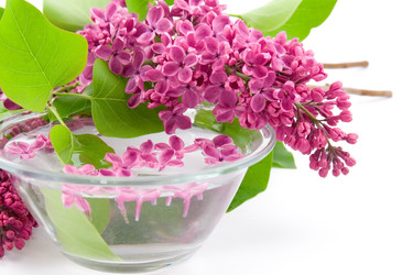 Similar image 1420790