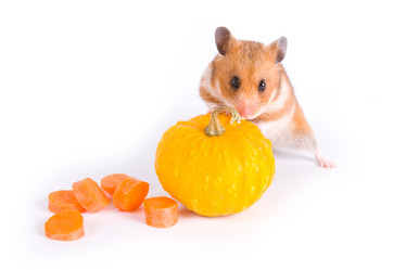 Similar image 1420791