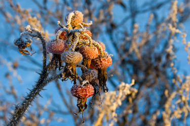 Similar image 1420811