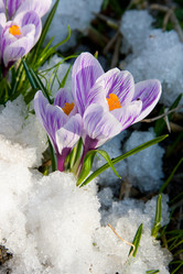 Similar image 1420812