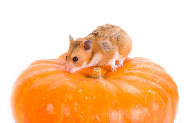 Similar image 1420814