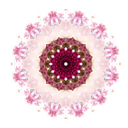 Similar image 1420829