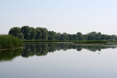 Similar image 1420850