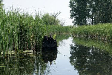 Similar image 1420851