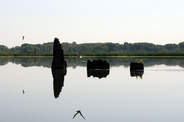 Similar image 1420852