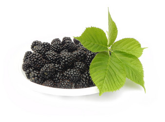 Similar image 1421371