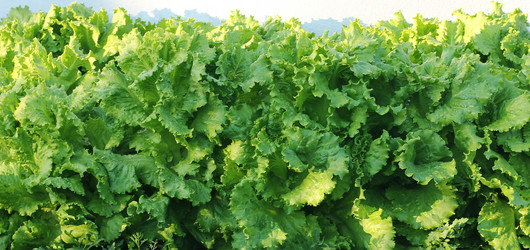 Similar image 1421378