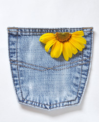 Similar image 1421394