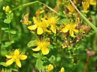 Similar image 1421395