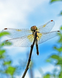 Similar image 1421408