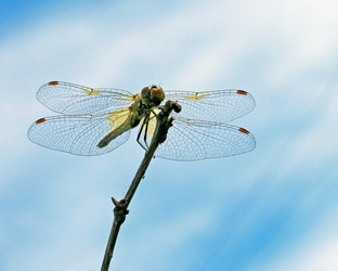 Similar image 1421409