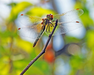 Similar image 1421410