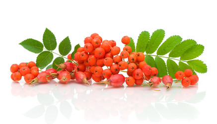 Similar image 1421433