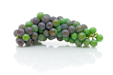 Similar image 1421434