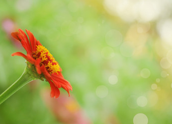 Similar image 1421444