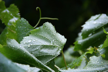 Similar image 1421450