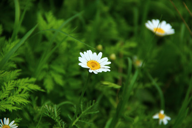 Similar image 1421451