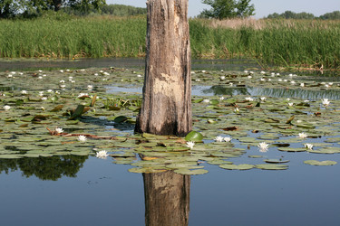 Similar image 1421456