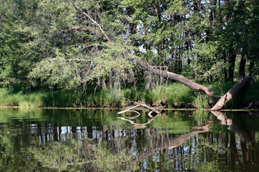 Similar image 1421457