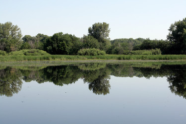 Similar image 1421458