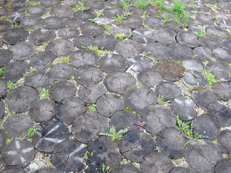 Similar image 1421461