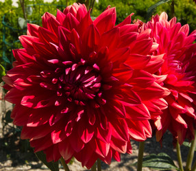 Similar image 1421464