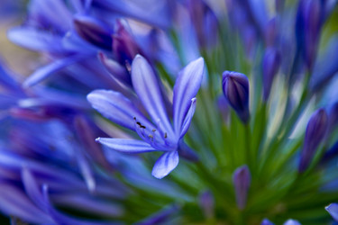 Similar image 1421466