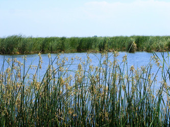 Similar image 1421471