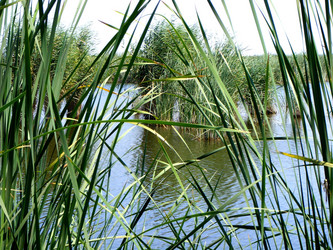 Similar image 1421473