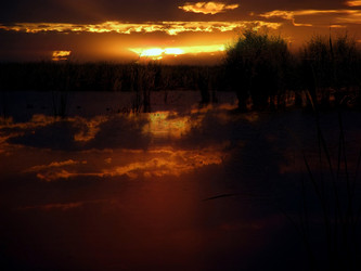 Similar image 1421474