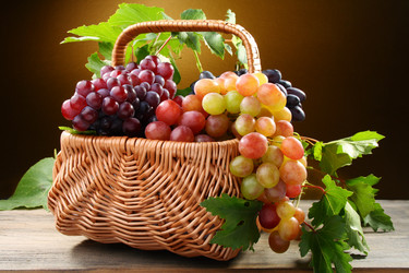 Similar image 1421525