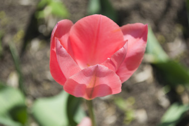 Similar image 1421532