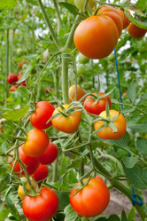 Similar image 1421550