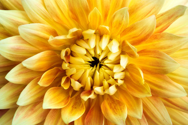 Similar image 1421554