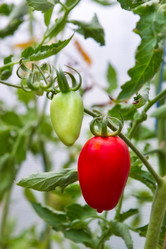 Similar image 1421555