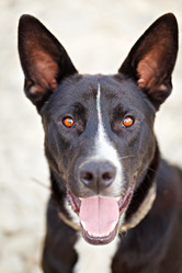 Similar image 1421557