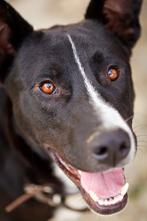 Similar image 1421559