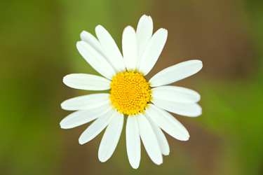 Similar image 1421560