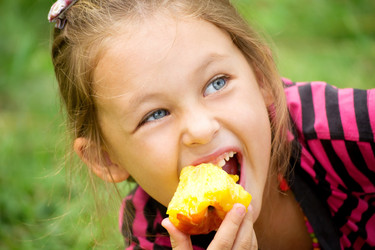 Similar image 1421571