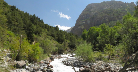 Similar image 1421575