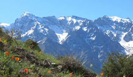 Similar image 1421577