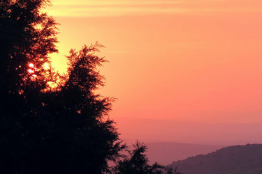 Similar image 1421578