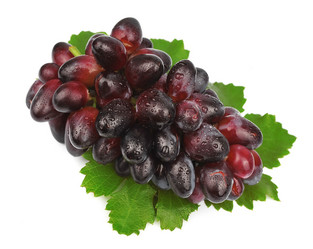 Similar image 1421624