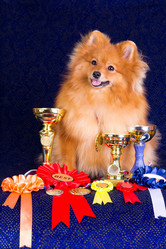 Similar image 1421719