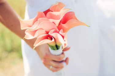 Similar image 1421730