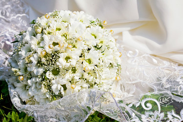 Similar image 1421734