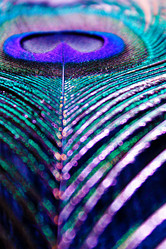 Similar image 1421751